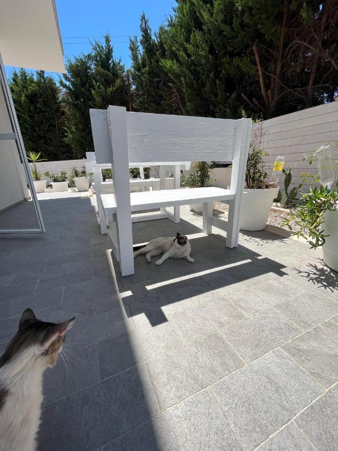 La Casa Di Nina Bed and Breakfast Λέτσε Εξωτερικό φωτογραφία