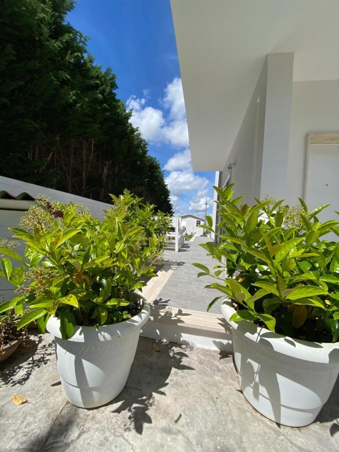 La Casa Di Nina Bed and Breakfast Λέτσε Εξωτερικό φωτογραφία