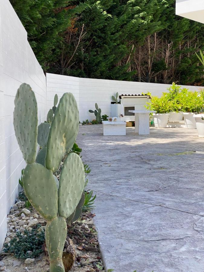 La Casa Di Nina Bed and Breakfast Λέτσε Εξωτερικό φωτογραφία